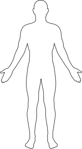 Adult body outline
